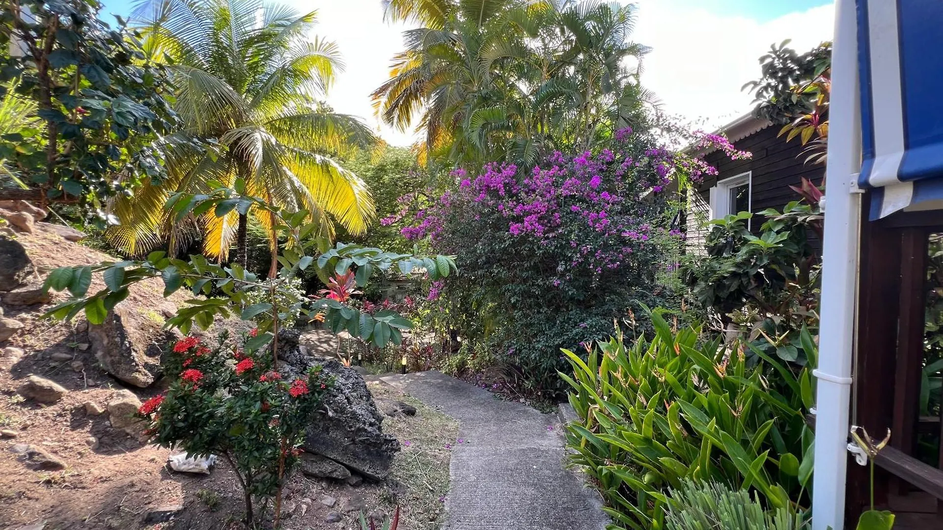 Villa Petite Maison Petit-Anse Bouillante Guadeloupe