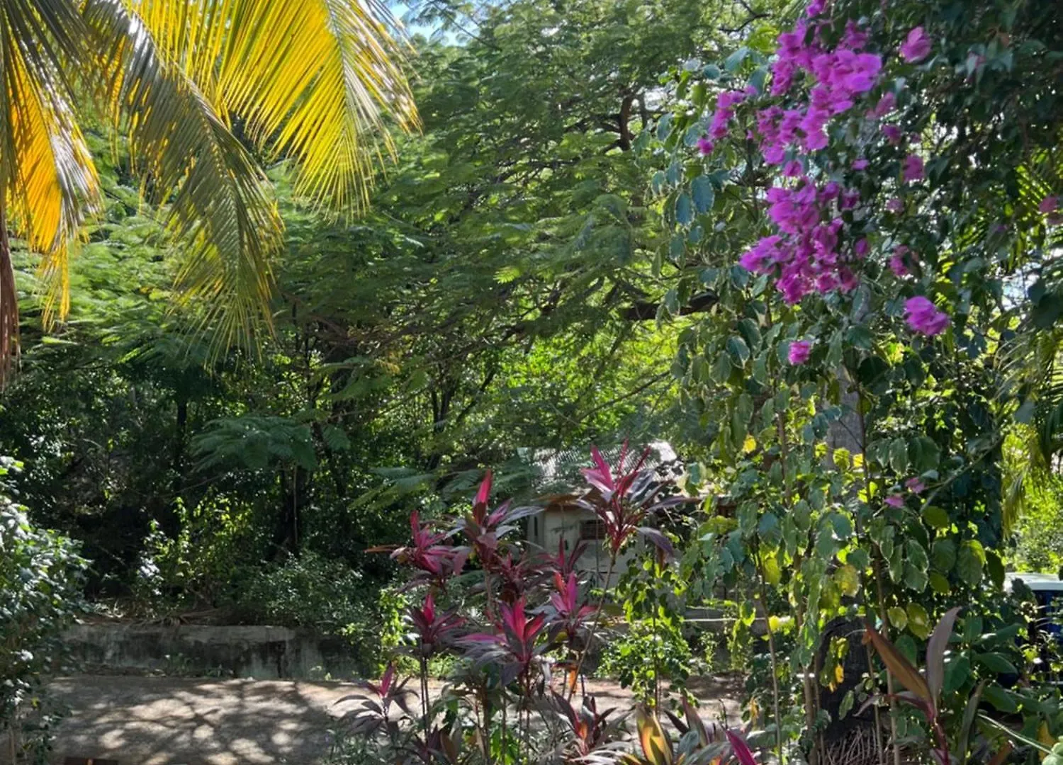 Vila Petite Maison Petit-Anse Bouillante