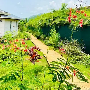 Le Jardin Zen Hébergement de vacances
